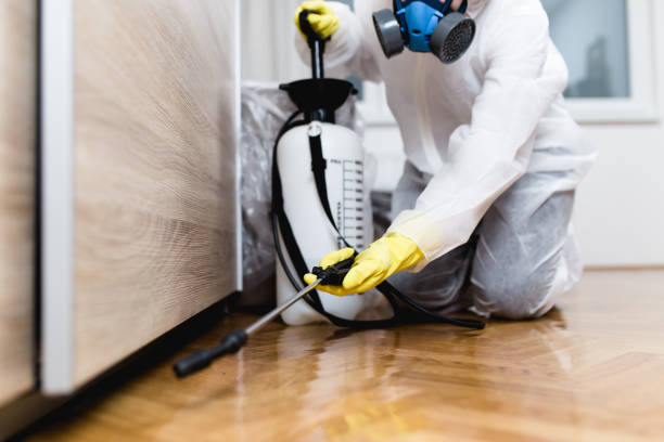 Best Pest Control for Businesses  in Highland Heights, OH