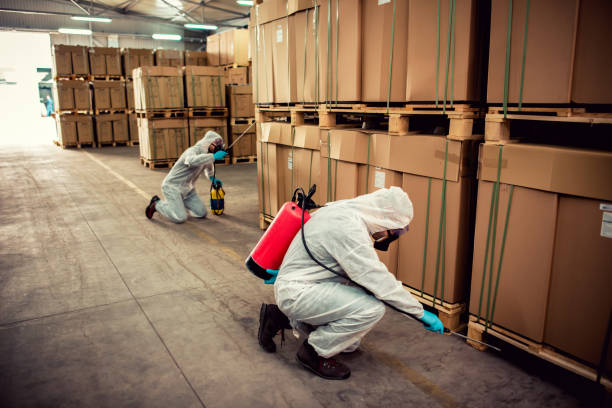 Pest Prevention Services in Highland Heights, OH