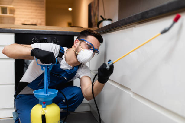 Best Emergency Pest Control  in Highland Heights, OH