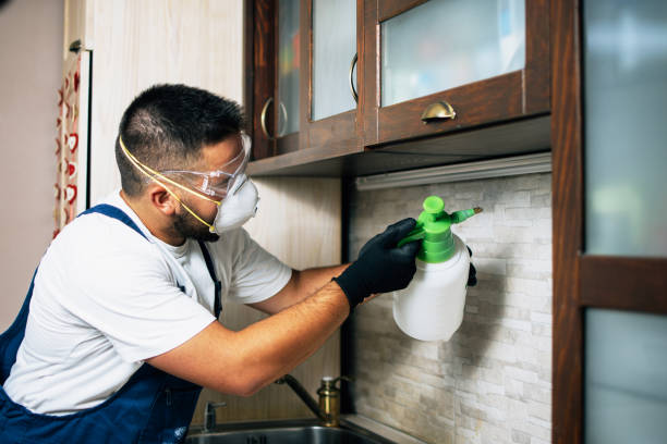 Professional Pest Control in Highland Heights, OH