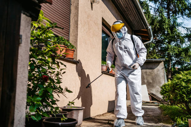 Wildlife Control Services in Highland Heights, OH