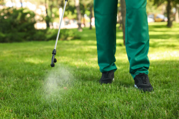 Best Flea Control Services  in Highland Heights, OH