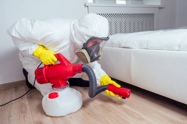 Best Affordable Pest Control Services  in Highland Heights, OH