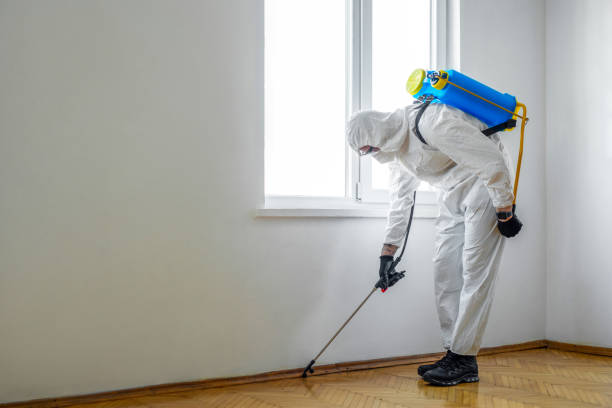 Best Pest Control for Homes  in Highland Heights, OH
