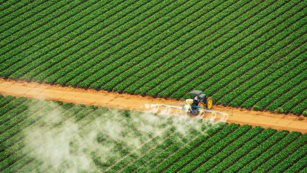 Best Commercial Pest Control Services  in Highland Heights, OH