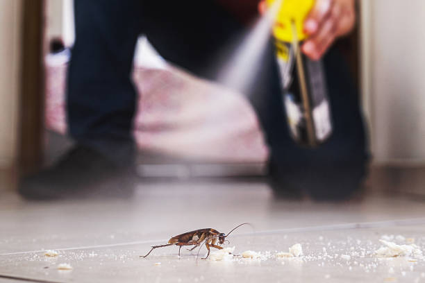 Best Pest Removal Services  in Highland Heights, OH