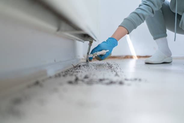 Best Residential Pest Control  in Highland Heights, OH